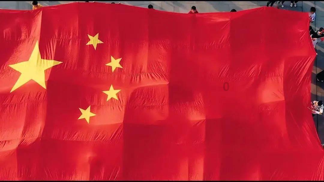 救援小犬立苏